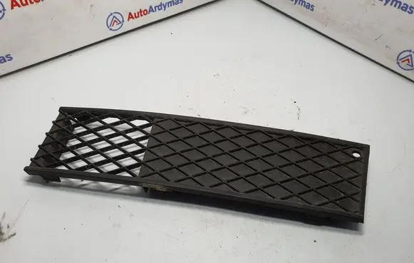 Front bumper lower grill