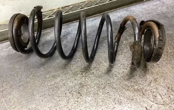 Rear coil spring