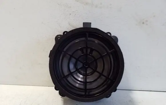 Front door speaker