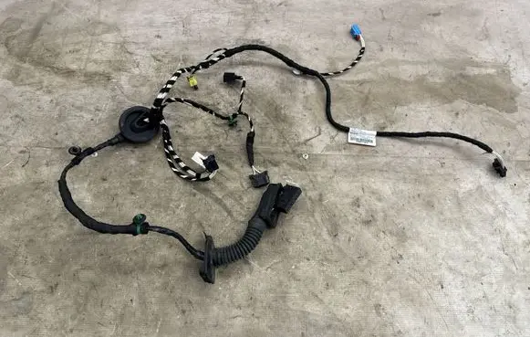 Volkswagen Tiguan Front door wiring loom 5NB971161H