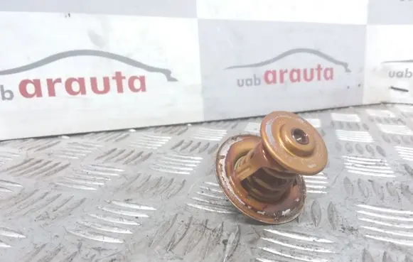 Seat Alhambra (Mk1) Thermostat/thermostat housing 044141113