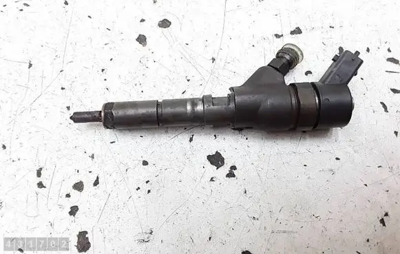 Citroen C5 Fuel injector 0445110008