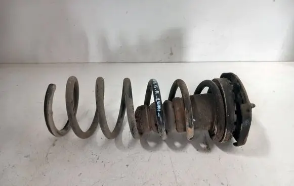 Rear coil spring