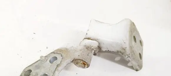 Peugeot Partner Rear door lower hinge 