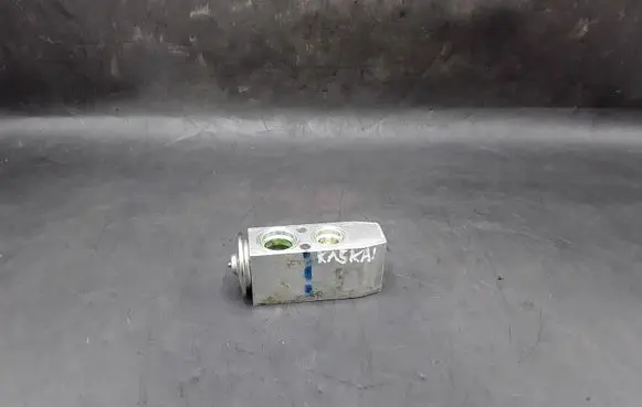 Nissan Qashqai Air conditioning (A/C) expansion valve 10A007EK