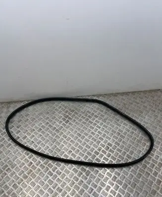 Renault Arkana Rear door rubber seal (on body) 