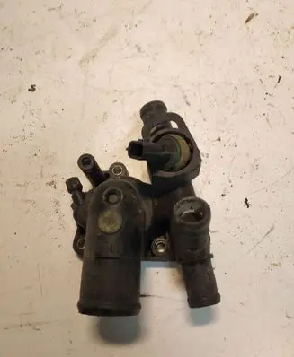 Thermostat/thermostat housing