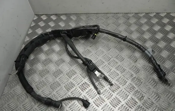 Engine installation wiring loom