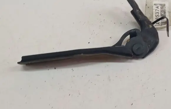 Tailgate/trunk/boot hinge