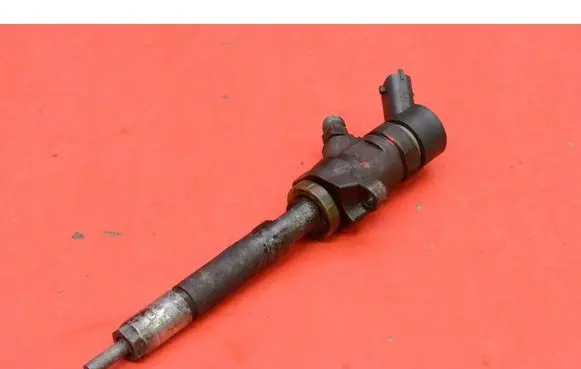Citroen Xsara Picasso Fuel injector 0445110239