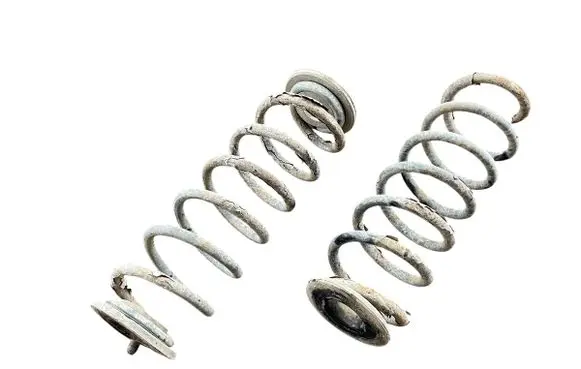 Rear coil spring