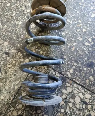 Rear coil spring