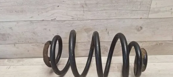 Volkswagen PASSAT B5.5 Rear coil spring