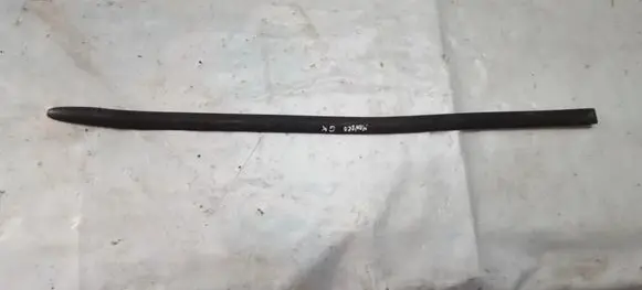 Rear door trim (molding)