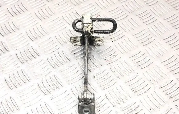 Volkswagen Golf IV Front door check strap stopper 24434087