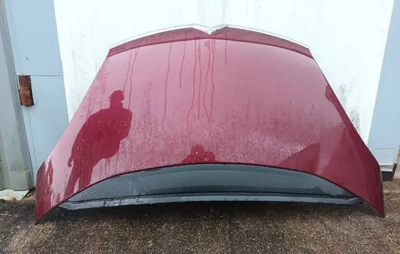 Engine bonnet/hood