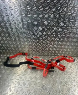 Audi Q5 SQ5 Positive cable (battery) 80B971225A