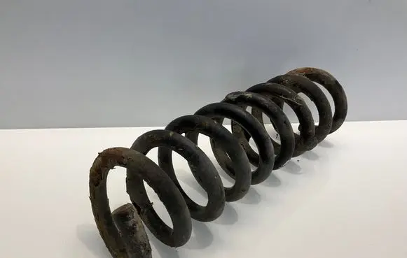 Rear coil spring