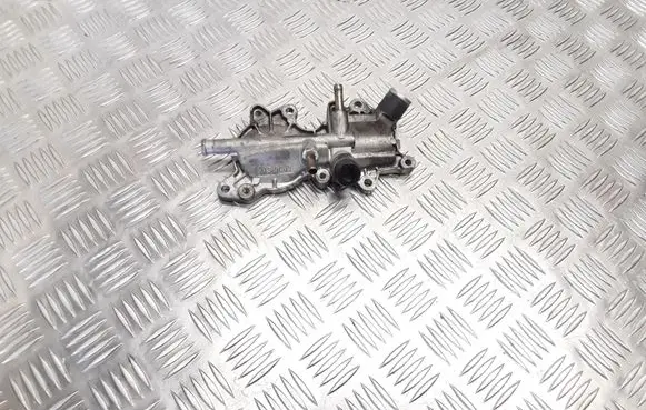 Thermostat/thermostat housing