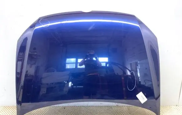 Engine bonnet/hood