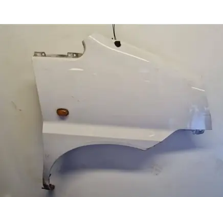 Hyundai H-1, Starex, Satellite Fender