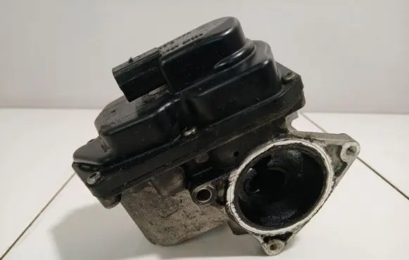 EGR valve