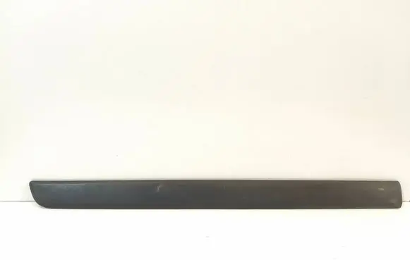 Front door trim (molding)