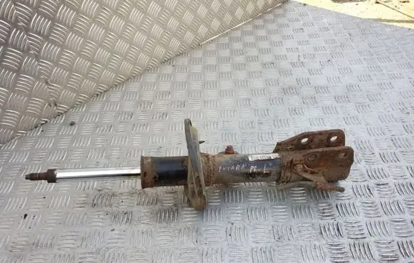 Opel Antara Front shock absorber/damper