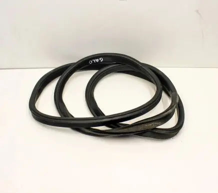 Trunk rubber seal (body)
