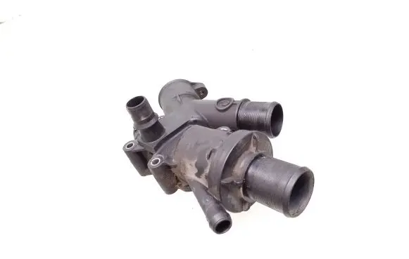 Thermostat/thermostat housing