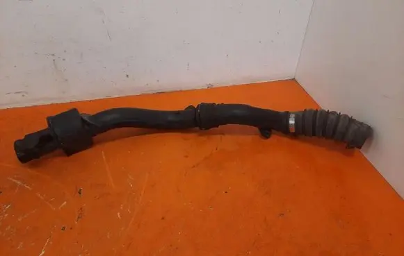 Renault Modus Air intake hose/pipe 8200296596