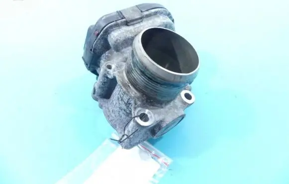 Throttle body valve