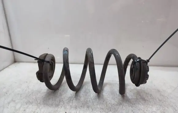 Rear coil spring