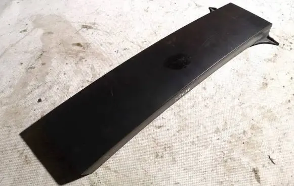 Rear door glass trim molding