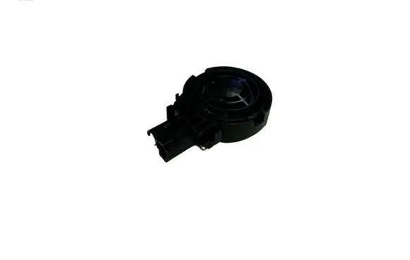 Rear door speaker