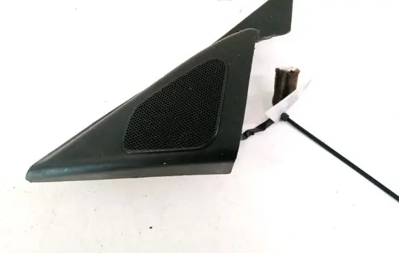 Hyundai Sonata Front door speaker