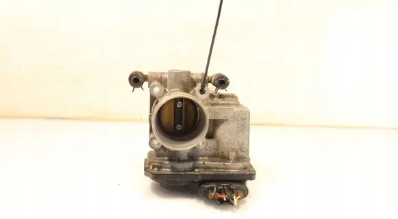 Throttle body valve