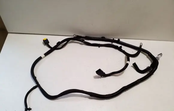 Other wiring loom