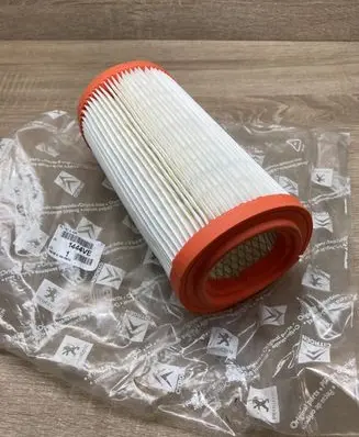 Peugeot 309 Air filter 1444VE