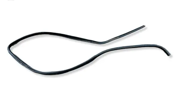 Dodge Charger Front door rubber seal 