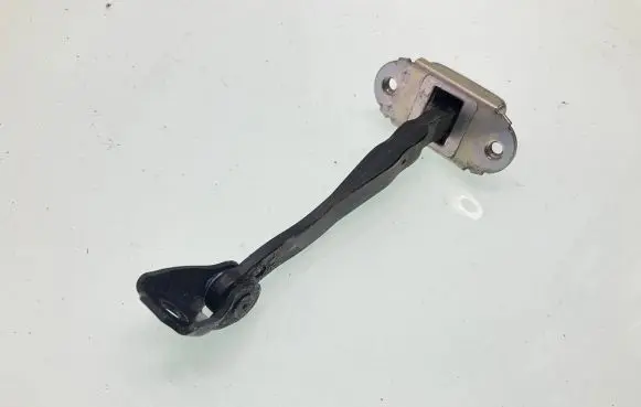 Nissan Leaf II (ZE1) Rear door check strap stopper