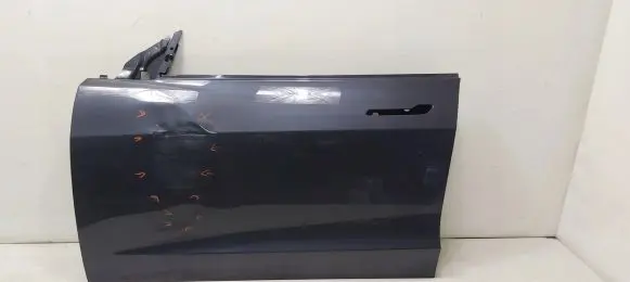 Tesla Model 3 Front door