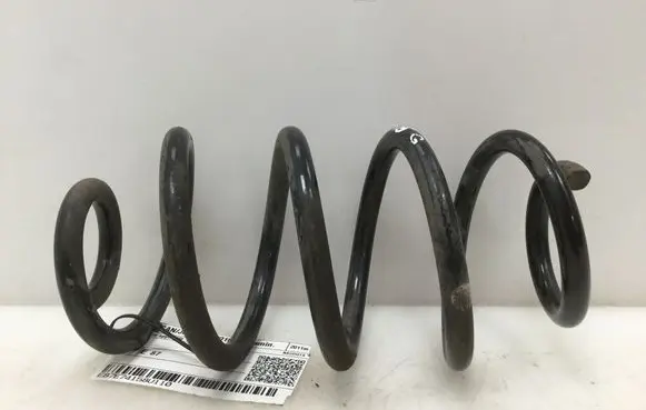 Nissan Juke I F15 Rear coil spring 