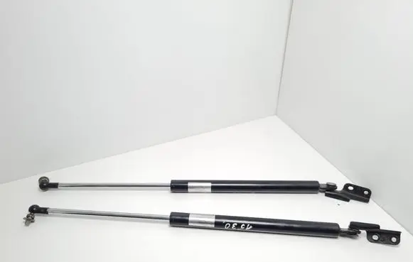 Tailgate/trunk strut/damper