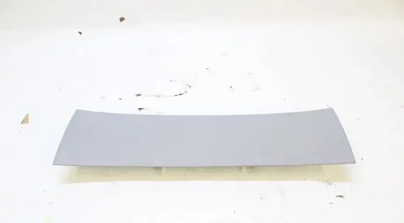 Audi A4 S4 B9 Headlining 8W9867839B