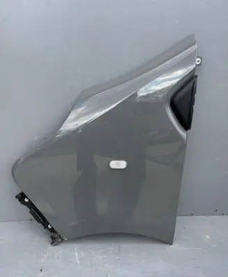 Renault Trafic III (X82) Fender 631016242R
