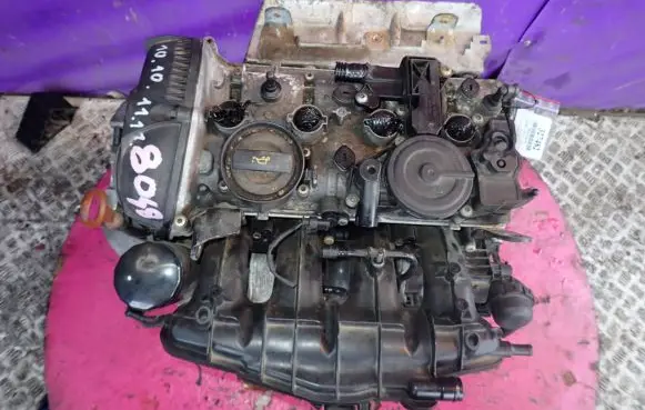 Skoda Octavia Mk2 (1Z) Engine