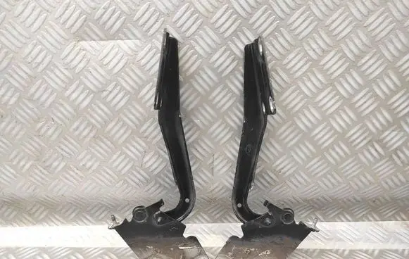 Renault Megane III Engine bonnet/hood hinges 654000003R 654010003R