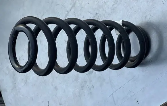 Rear coil spring