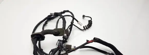 Hyundai Santa Fe Tailgate/trunk wiring harness 9190026032 313653
